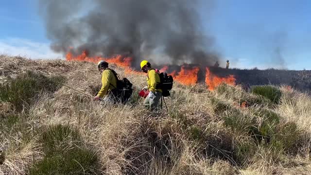 Siuslaw Oregon Dunes Prescribed Burn 2022