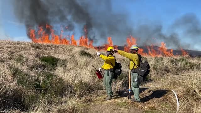 Siuslaw Oregon Dunes Prescribed Burn 2022