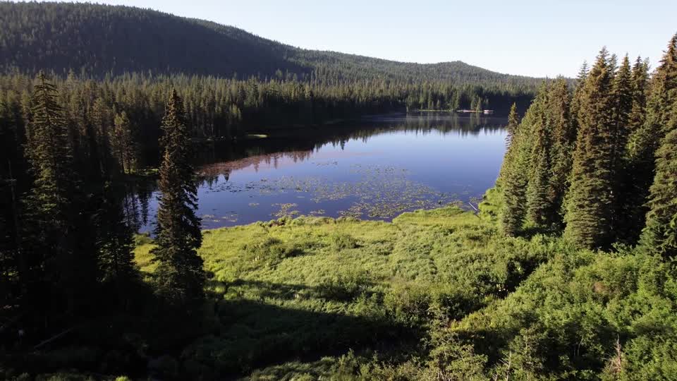 Mt Hood National Forest, Trillium Lake Boardwalk, Before Reconstruction