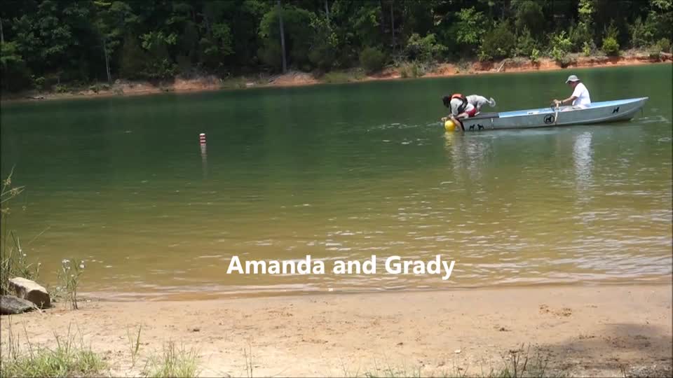 amanda_grady_dropngo