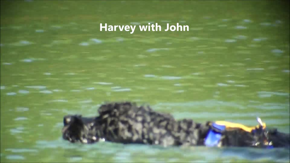 john_harvey01_5_16_15