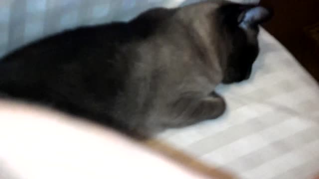 2014-05-29_19-12-56_544