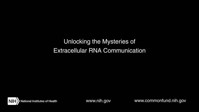 Scientists Explore New Roles for RNA