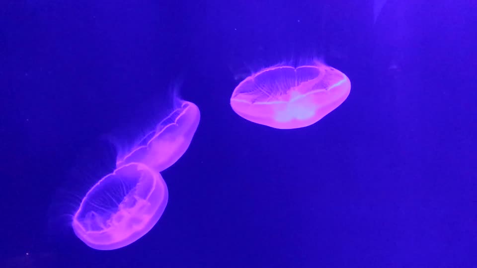 20150718_122943