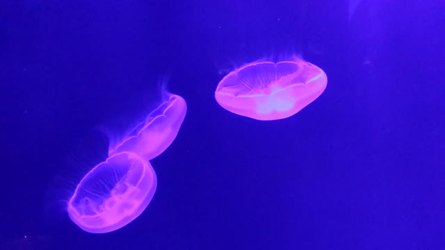 20150718_122943