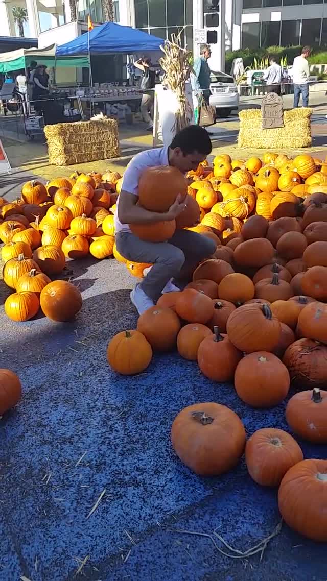 Pumpkin Patch 2017