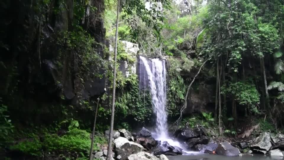 Australia. Queensland. Tamborine National Park. Joalah Section.  Curtis Falls.