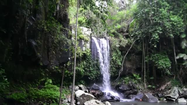 Australia. Queensland. Tamborine National Park. Joalah Section.  Curtis Falls.