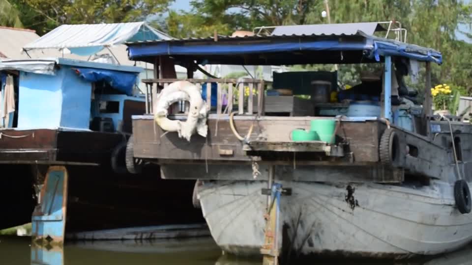 .Vietnam.  Tan Chau.  Our first excursion into Vietnam. Life on the river.