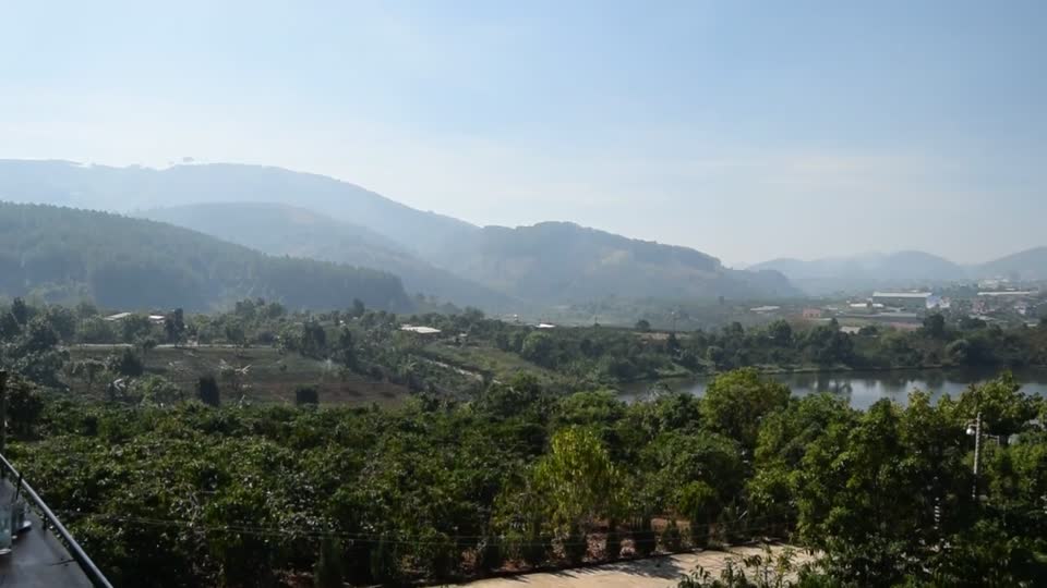Vietnam. Weasel Coffee factory and cafe.  The view.