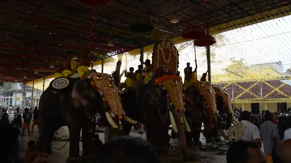 India. Kerala. Kochi (Cochin).  We attended a Hindu Temple, where they celebrated "Holi" with elephants and musicians, who prodused a cacophony of noise, but it was enjoyable to be present.  See below for Holi info.