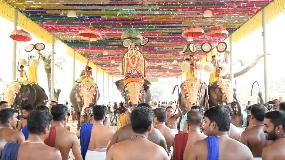 India. Kerala. Kochi (Cochin).  We attended a Hindu Temple, where they celebrated "Holi" with elephants and musicians, who prodused a cacophony of noise, but it was enjoyable to be present.  See below for Holi info.
