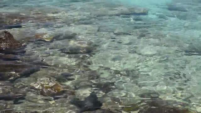 Ecuador. Galapagos Islands. Small island off Santa Cruz. Sea lions.