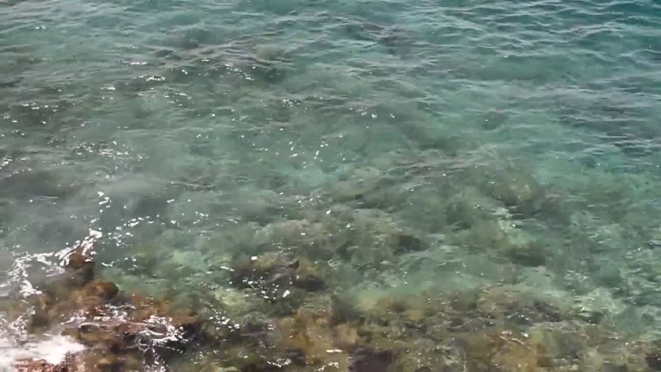 Ecuador. Galapagos Islands. Small island off Santa Cruz. Bottom centre, there is a ray swimming.