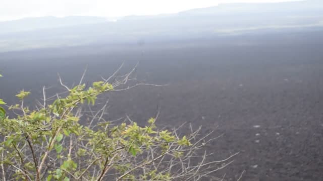 Ecuador. Galapagos. Isabela Island. Sierra Negra Volcano. We had a great view of the caldara and the volcano rim.