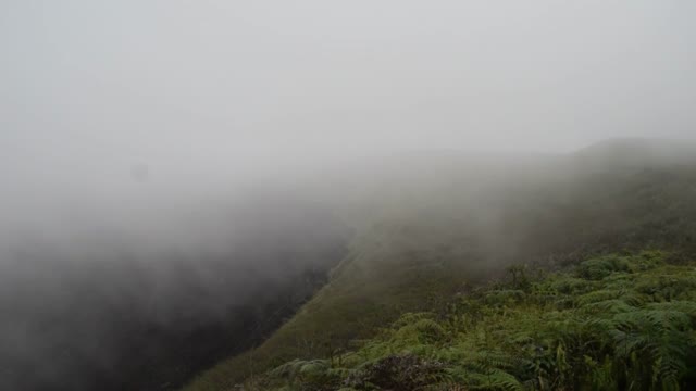 Ecuador. Galapagos. Isabela Island.  The view started to be lost. We were lucky if our departure was another 30 minutes we would not have seen the inside of the caldera.