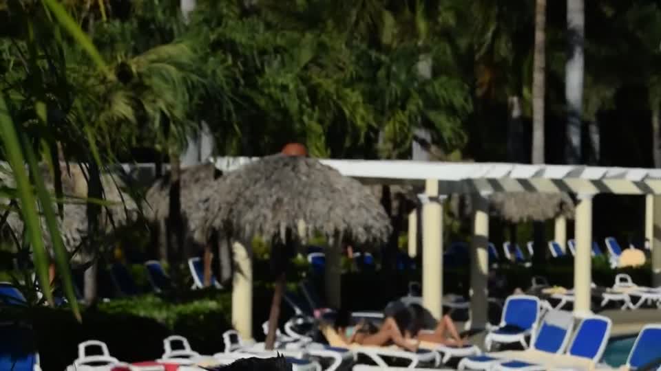 Costa Rica. Guanacaste. Hotel Rui Guanacaste.  Green iguanas.  Yes they aren't just green, they change as they become adult and in the breeding season.