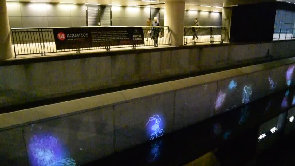 Winter Lights at Canary Wharf. London. "Aquatics" Lights projected onto the water channel walls. VIDEO.