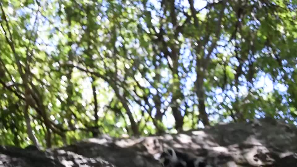 Madagascar. Isalo National Park to Ranohera. Doing a canyon walk. We saw a large group of ring-tailed lemurs.