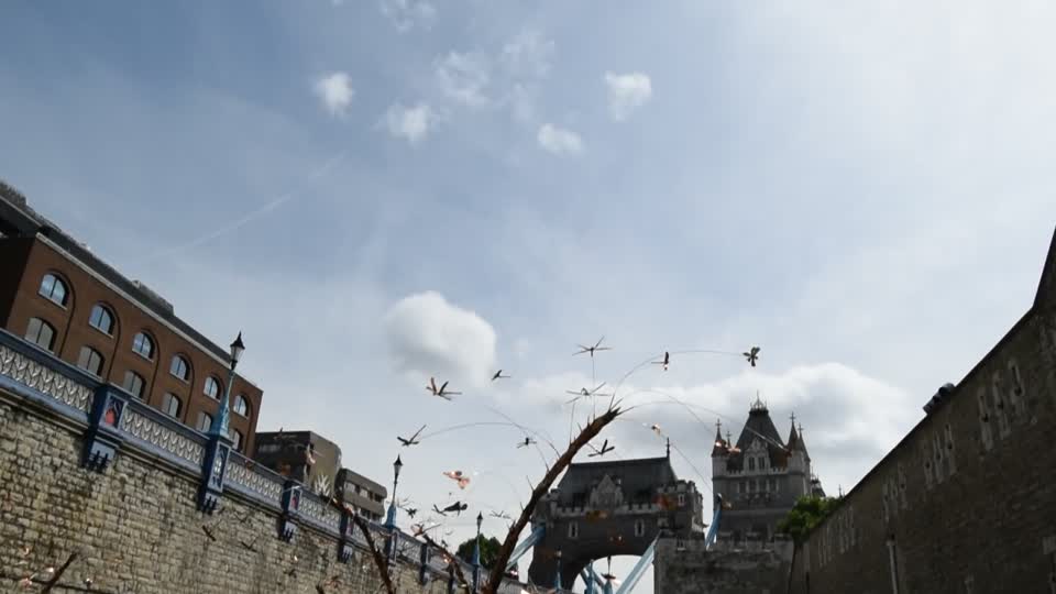 UK. London. Tower of London. Dragonflies, on wires moving in the breeze.