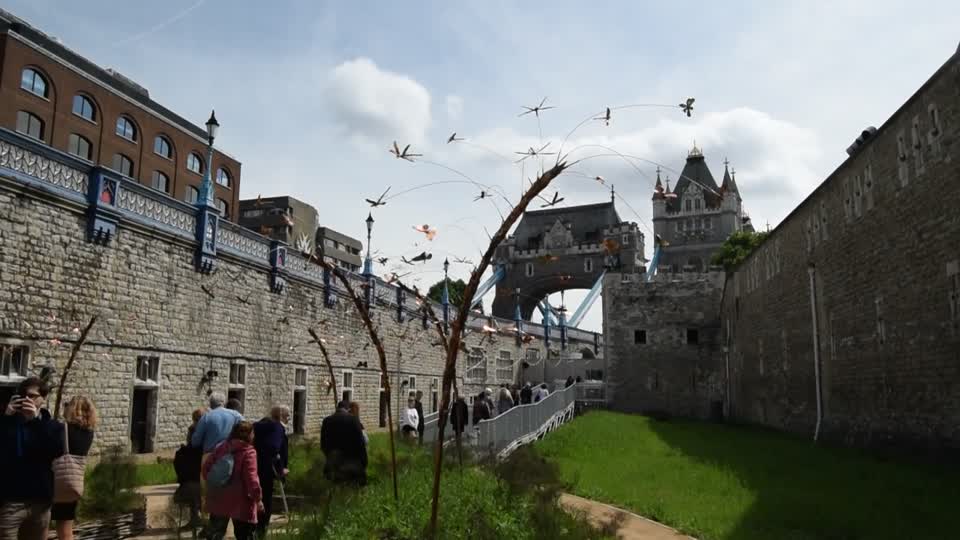 UK. London. Tower of London. Dragonflies, on wires moving in the breeze.