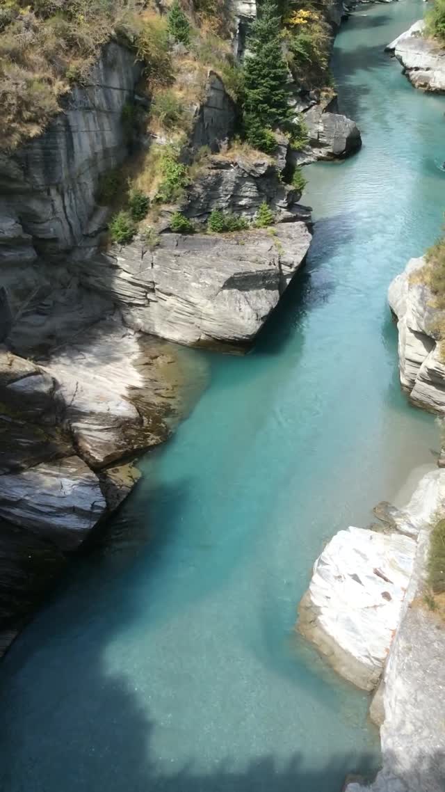 South island, New Zealand Jet boat.  Not ours but we went on another boat, we both loved it too.
