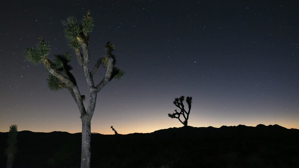 Dusk to night at Joshua Tree