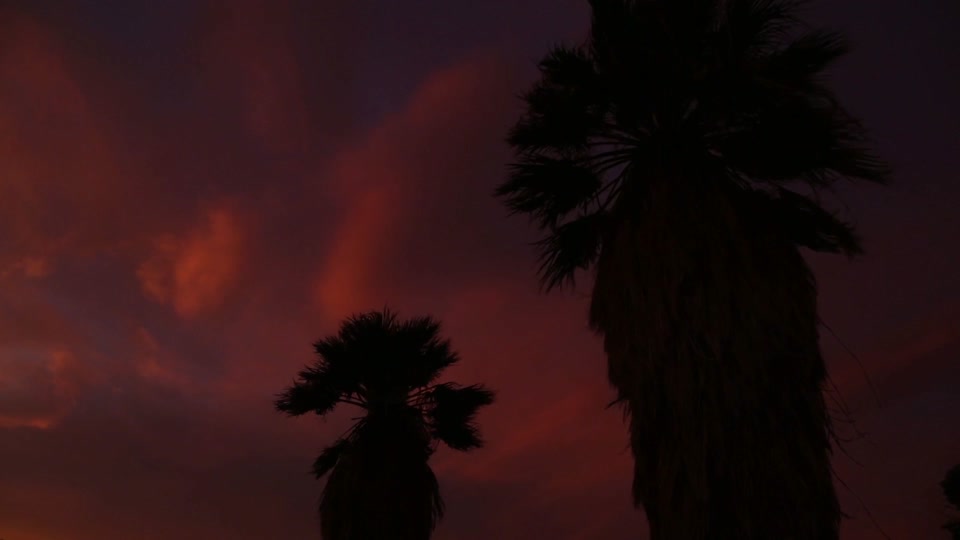 Windy Oasis of Mara