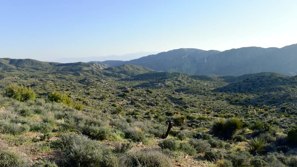 Juniper Flats evening timelapse