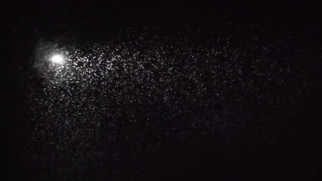 it's snowing!