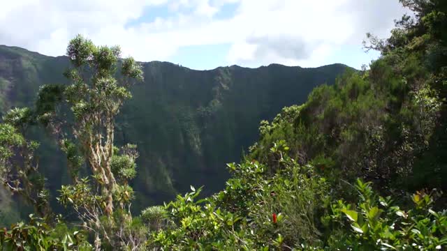 Mountain of La Reunion
