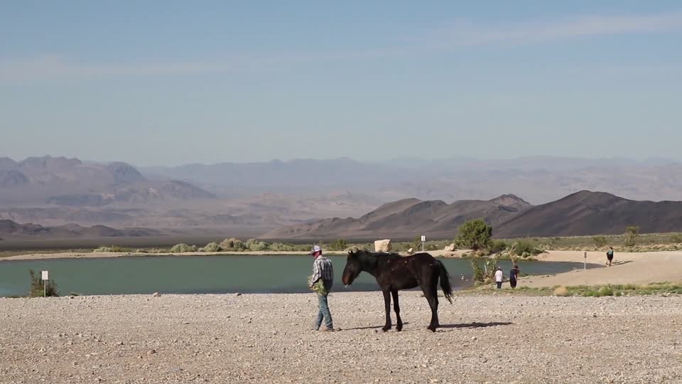 180510-FS-ColdCreekEmergencyHorseGather-005