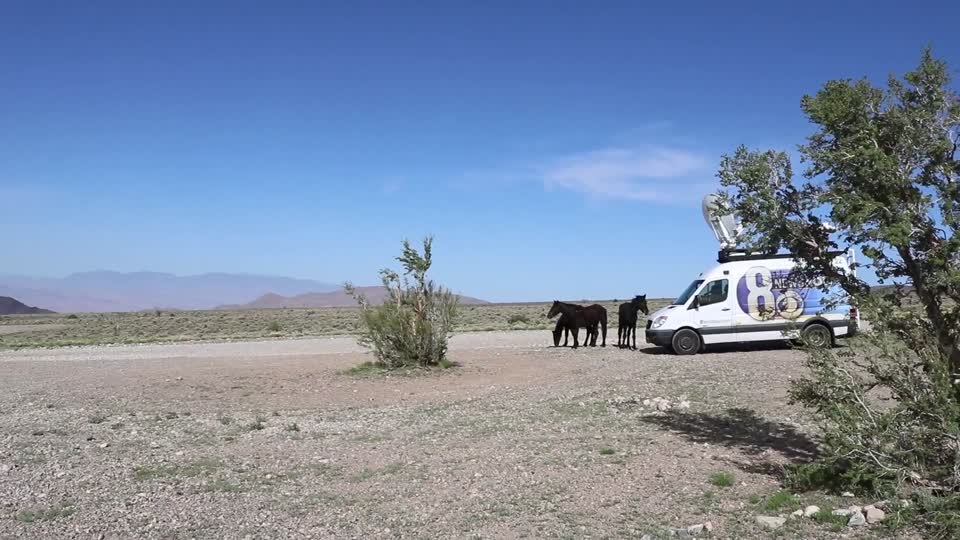 180510-FS-ColdCreekEmergencyHorseGather-003