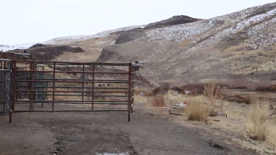 181205-FS-CooperativeDomesticHorseRemoval-004