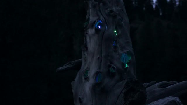 FairyStumpVid